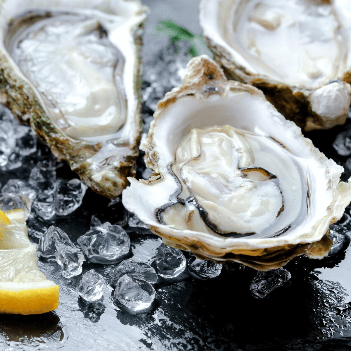 Live Fresh Oysters In The Shell 1 box