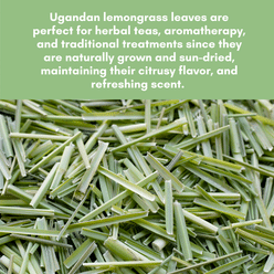 악쉬트 드라이 레몬그라스 잎, 잎차, 카페인 없음, 비유전자개조 2.6 온스