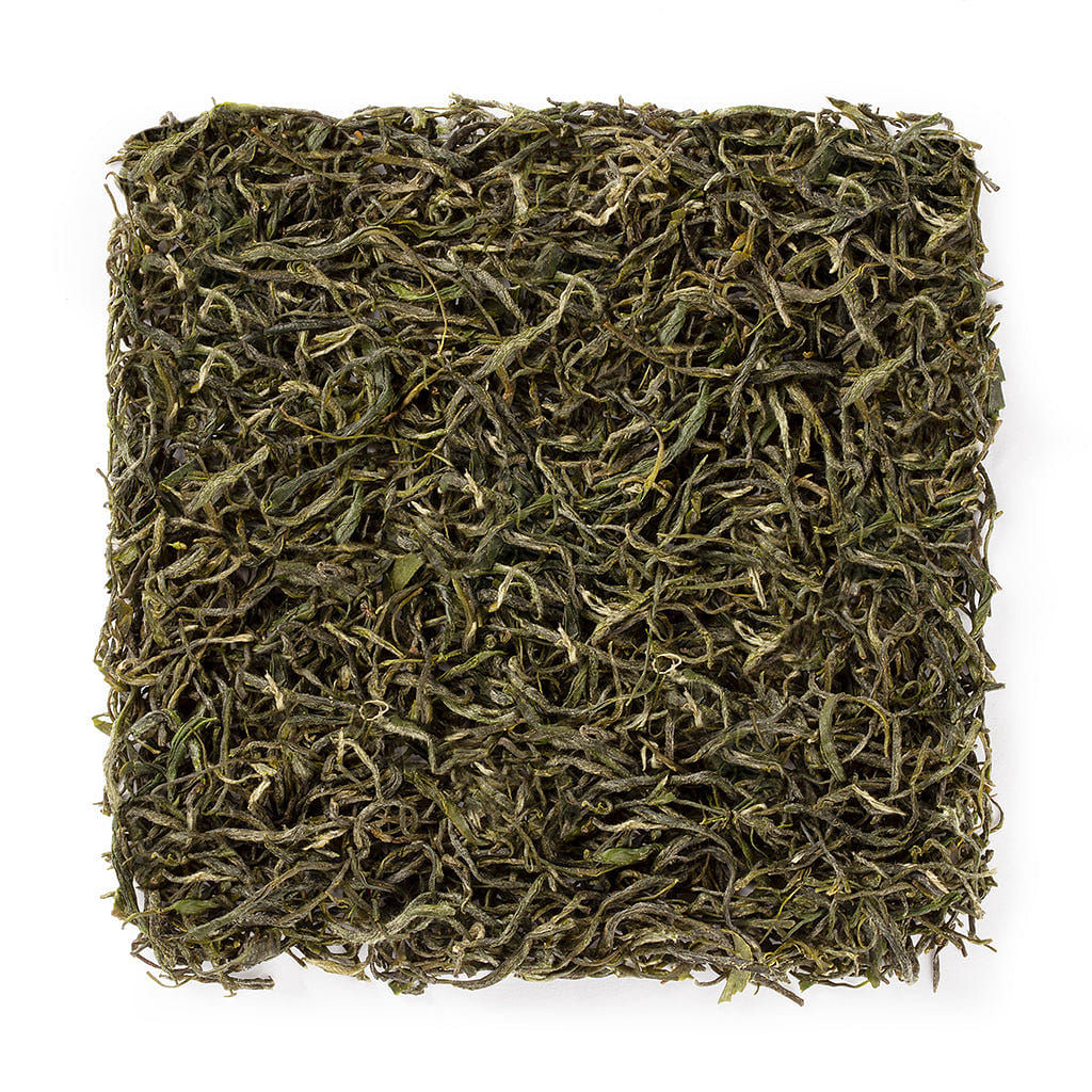 WHF Xinyang Mao Jian Green Tea #1119 1 lb 1 each