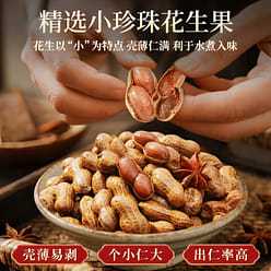 Shell-on Spiced Peanuts (Five-Spice Flavor) 250 g