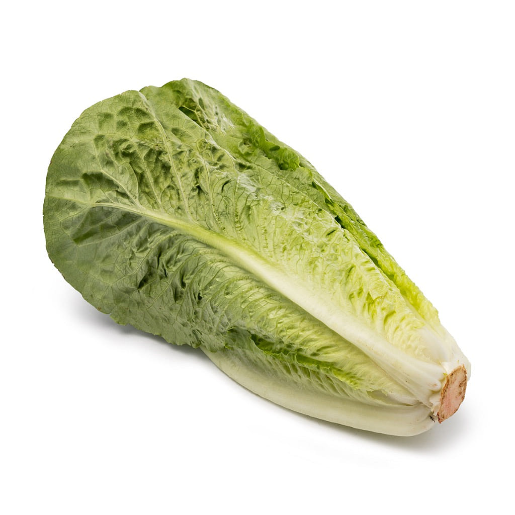 Lechuga Romana 1 unidad(es)