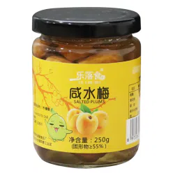 乐落咸水梅潮汕特产咸梅酸梅汤泡水1瓶250g 250 克