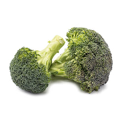 Organic Broccoli 1 bunch