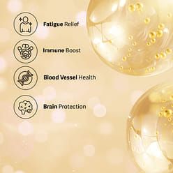 Lyuh Esther SAC Fermented Black Garlic Direct 1 each