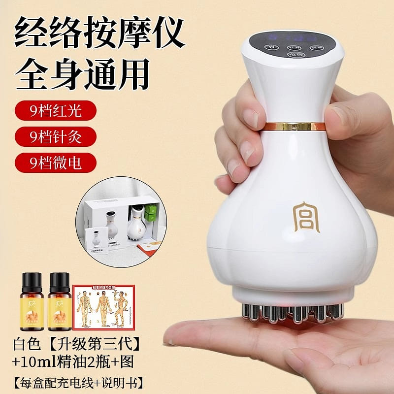 1 portion of Gong's Electric Meridian Brush 1 個