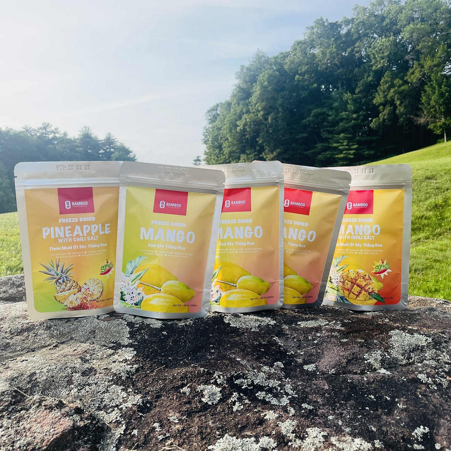 Bamboo Freeze-Dried Mango and Pineapple -5 packs 150 그램