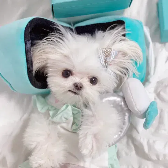 weee product zoom image