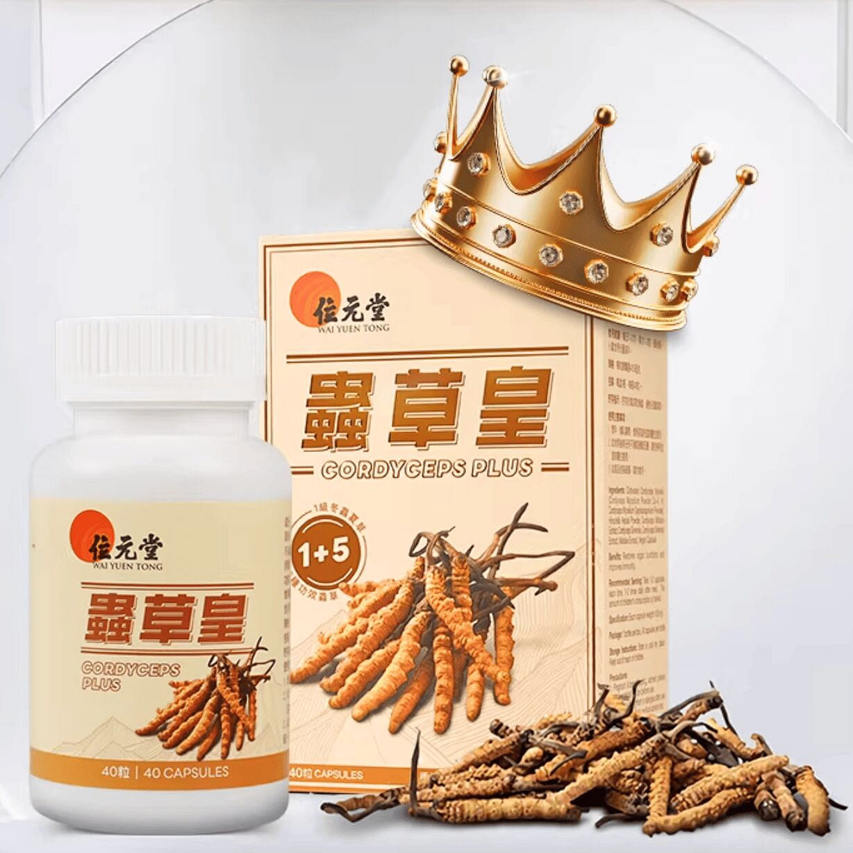 WAI YUEN TONG Cordyceps Plus 40 Capsules 1 box