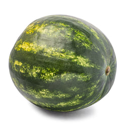 Mini Watermelon 1 count