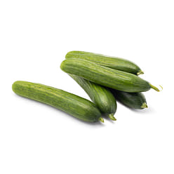 Organic Persian Cucumber 1 lb