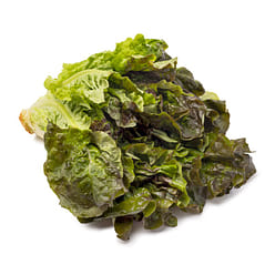 Red Leaf Lettuce 1 each