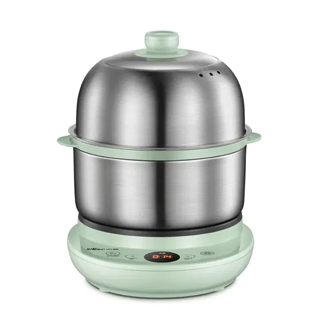 Bar Electric Small Food Steamer 2 Tier, Egg Cooker with Steaming & Frying 1 개입
