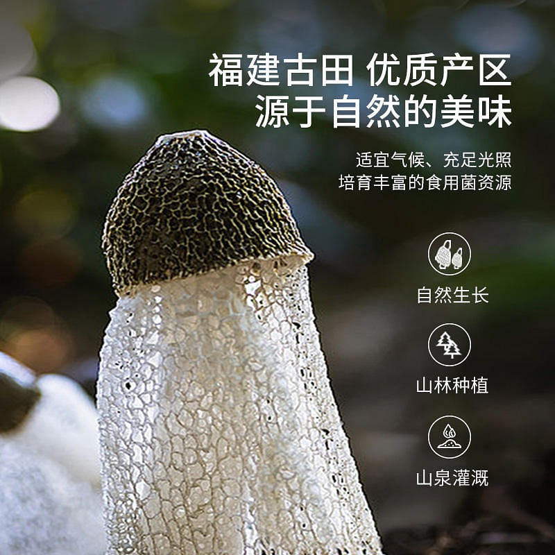 Mushroom law natural bamboo fungus 30 그램