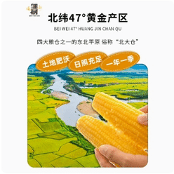Zou Youcai Northestern China Fresh Glutinous Corn Paste Sticky Corn 120g*3 360 g