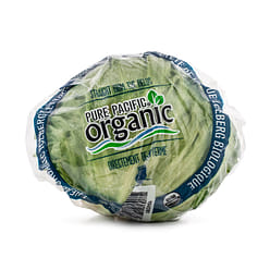 Organic Iceberg Lettuce 1 each