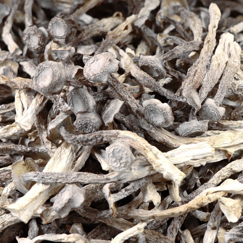 鹿茸　100g 31rfQfX75HL.jpg_BO30,255,255,