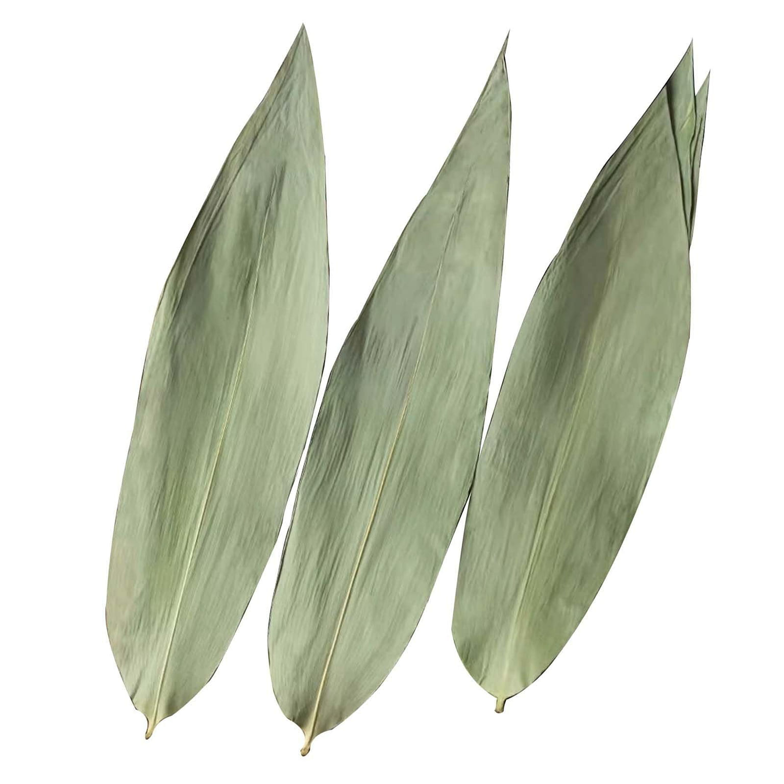 Dry Bamboo Leaves 100 Pcs Dried Zongzi Leaf Wrap 1 each