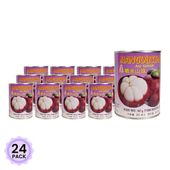 JHC Mangosteen in Syrup 565 g*24 pack