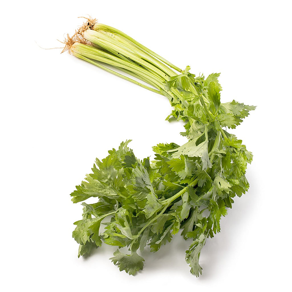 Chinese Celery 1 lb