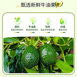 2盒猫小乐 油柑牛油果控卡奶昔 2 盒