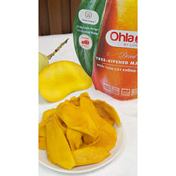 Dried Mango - Tree-ripened mango 200g 0.44 lb