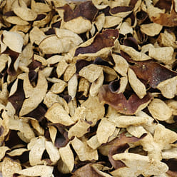 6-Year Aged Xinhui Dried Tangerine Peel 1 oz