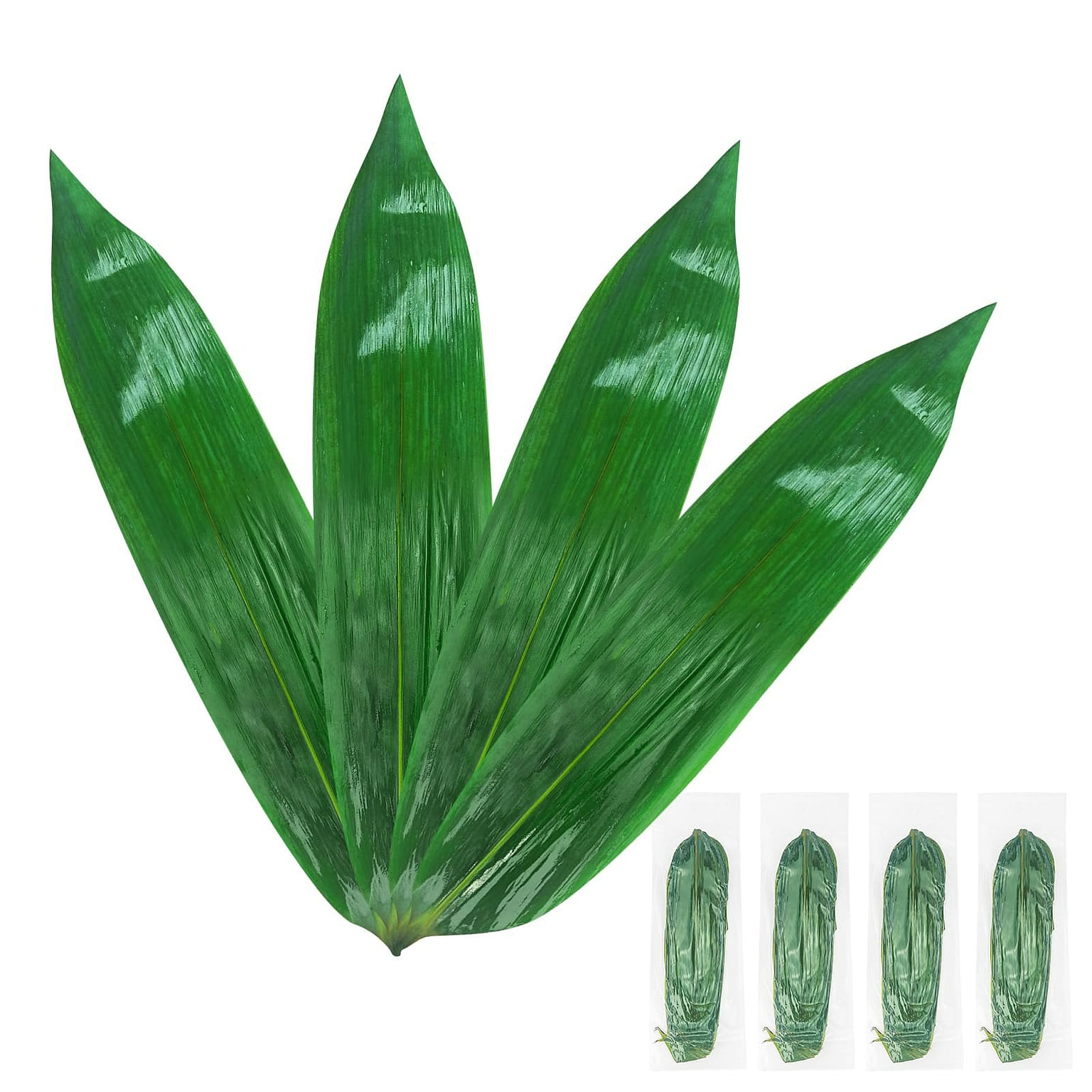 120 Pcs Fresh Vacuum Bamboo Leaf for Cooking 1 each
