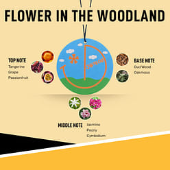 Join The Club 蓝天白云(6片装)高级小众车载居家香薰片好闻淡淡高级香 19.99 个