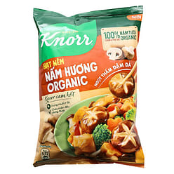 Knorr Mushroom Seasoning 800g 1 each