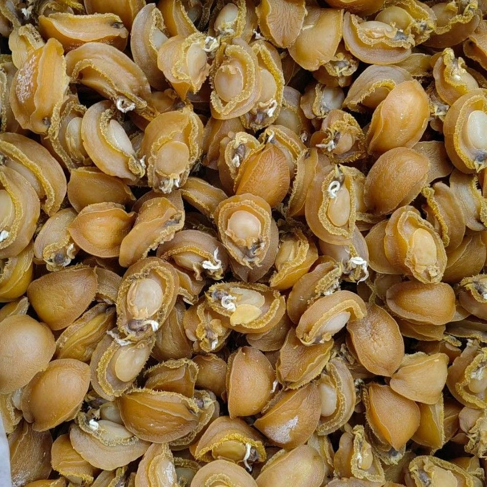 Dalian light dried abalone 500g porridge dried abalone 500 กรัม