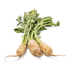 Korean Radish 1 bunch