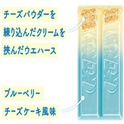 KIT KAT FUJISAN Blueberry Cheese Cake  White Chocolate 9pc 9 count