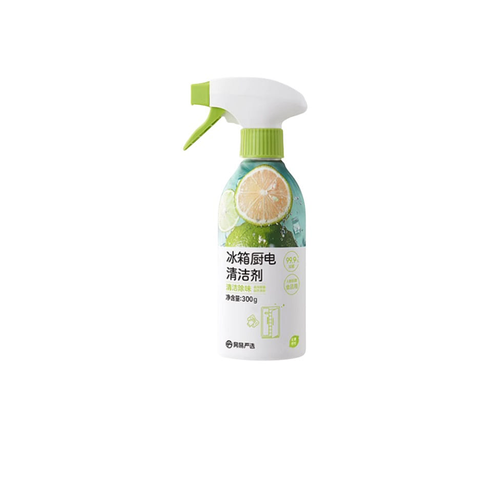 NTES Kitchen Electrics cleaner 300g 1 개
