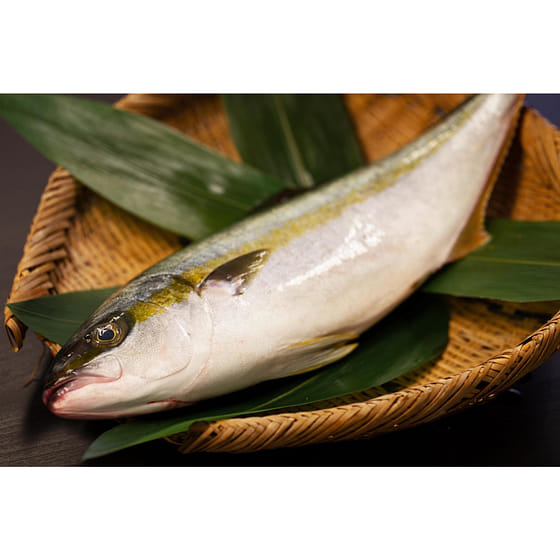 weee_seafood_Hiramasa 3.3lbs 8 lb