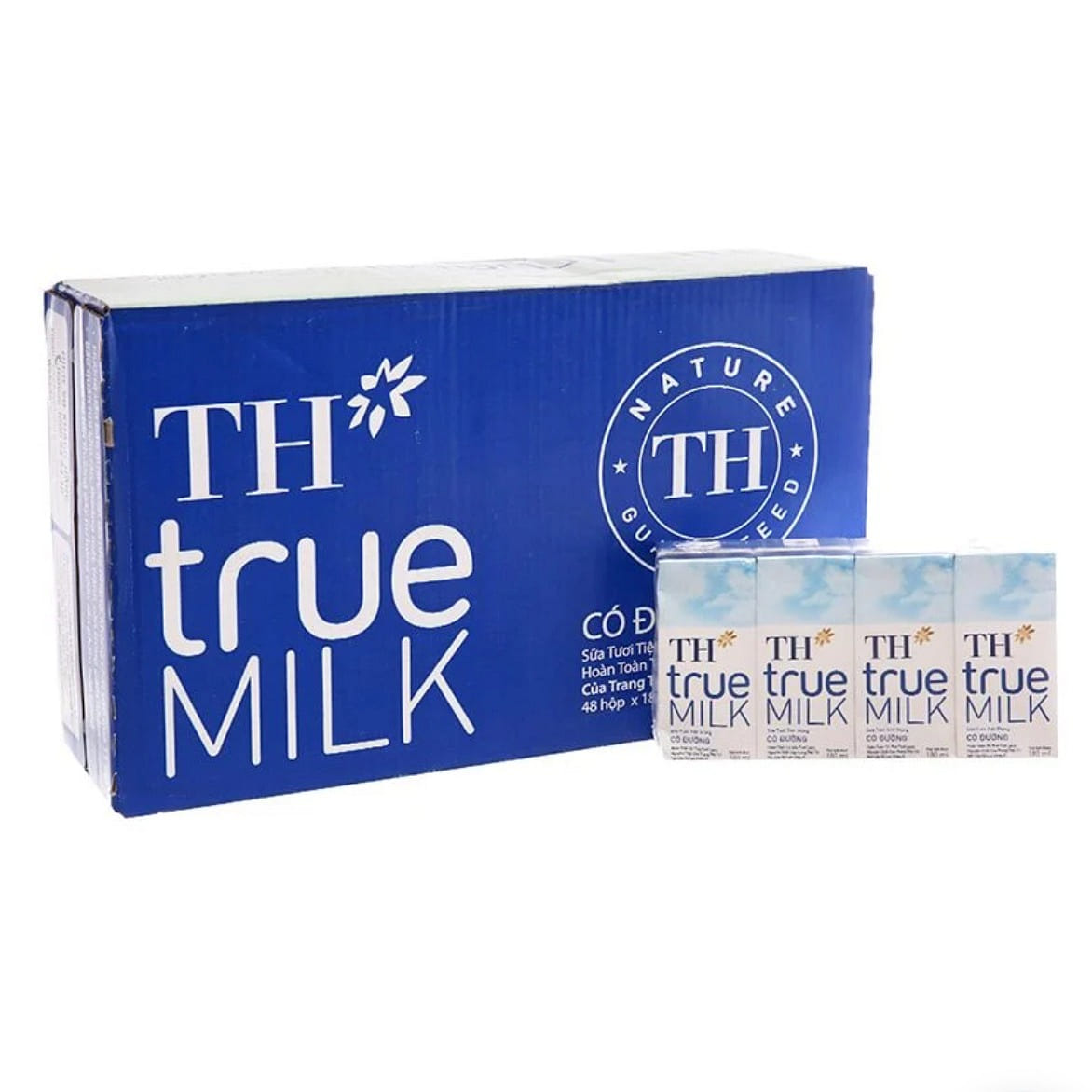 TH true MILK SUGAR 180ml x 48 CANS 180 ml(ミリリットル)