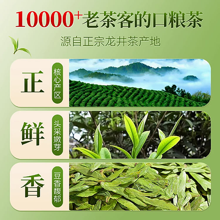 2025新茶龙井茶明前茶叶绿茶250g - Weee!
