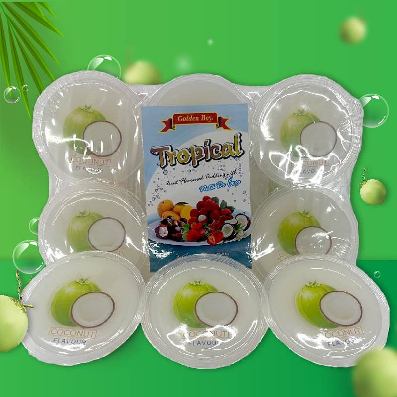 Tropical Fruit Pudding * Nata De Coco * Coconut Flavour * 6 pcs/tray 23.28 온스
