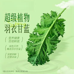 Kale lightly noodles non-fried 110g*3 boxes 330 g