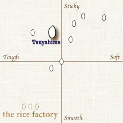 Yamagata Tsuyahime (2022 Crop) Brown Rice/10 lb 10 磅