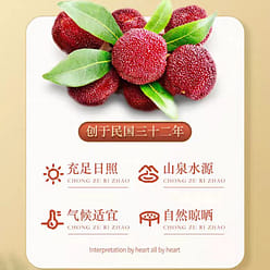 Quan li tang Tangerine peel bayberry 300g*1 can 300 g