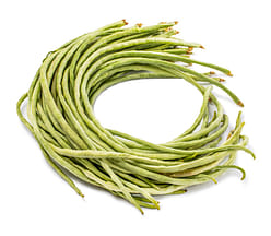 Long White Bean 1.5 lb