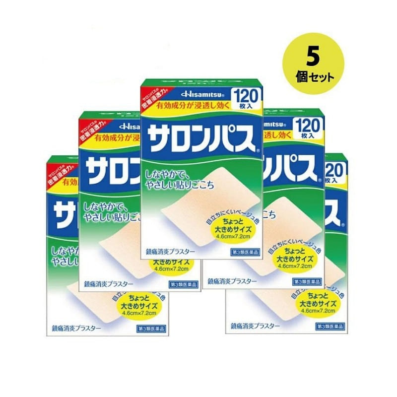 Hisamitsu Pharmaceutical Salonpas 120 sheets*5 1 개