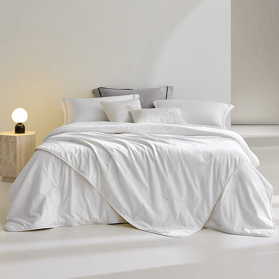 weee_grocery_SilkSoft Silk Comforter 2-IN-1 / Queen/200*230 1 each