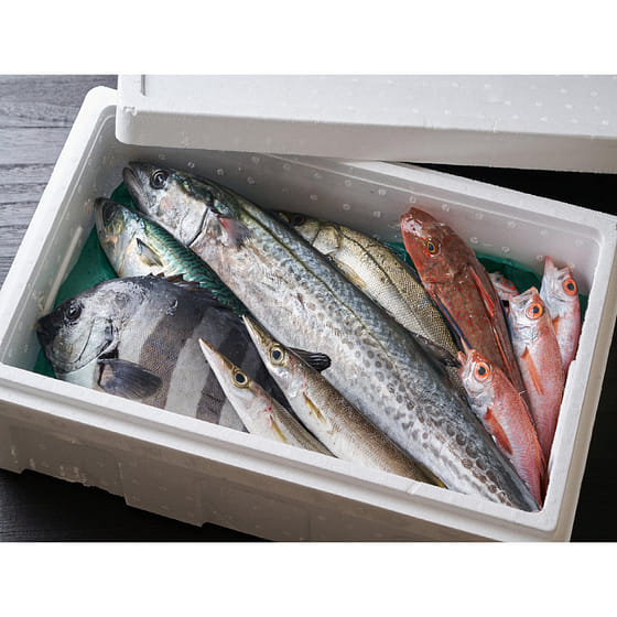 weee_seafood_Omakase Hokkaido Fish Box 3lb 1 each