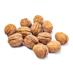 Fresh 껍질 호두 2.9-3.1 파운드