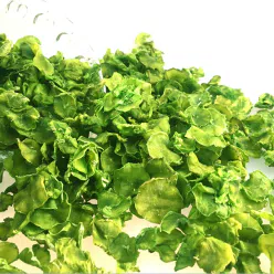 Dried lettuce, farmer's homemade dried lettuce, dehydrated vegetables, green bamboo shoots, bamboo shoots, crispy 100g*1 pack 100 g