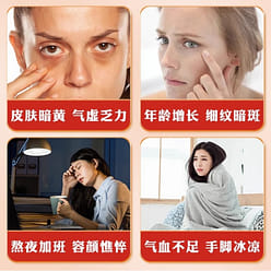 Apple Astragalus Water Red Date Maitake Berry Tea 120 g