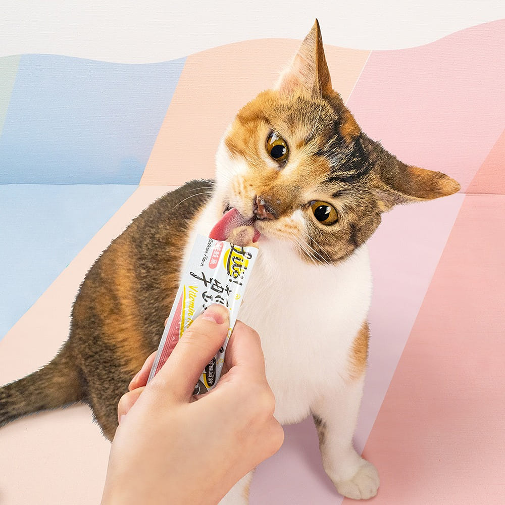 *Pet Treats*LitoMon－Taiwan Litö! Vitamin Mousse, Salmon Flavor with Vitamin E 40 그램