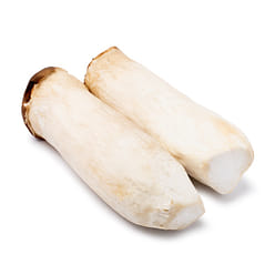 King Oyster Mushrooms 1 lb