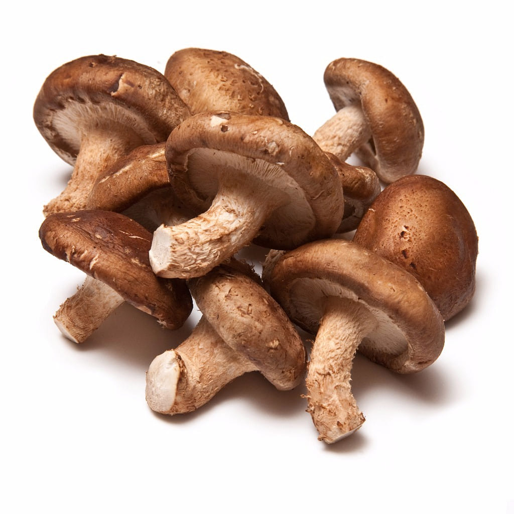 Fresh Shiitake 1 lb